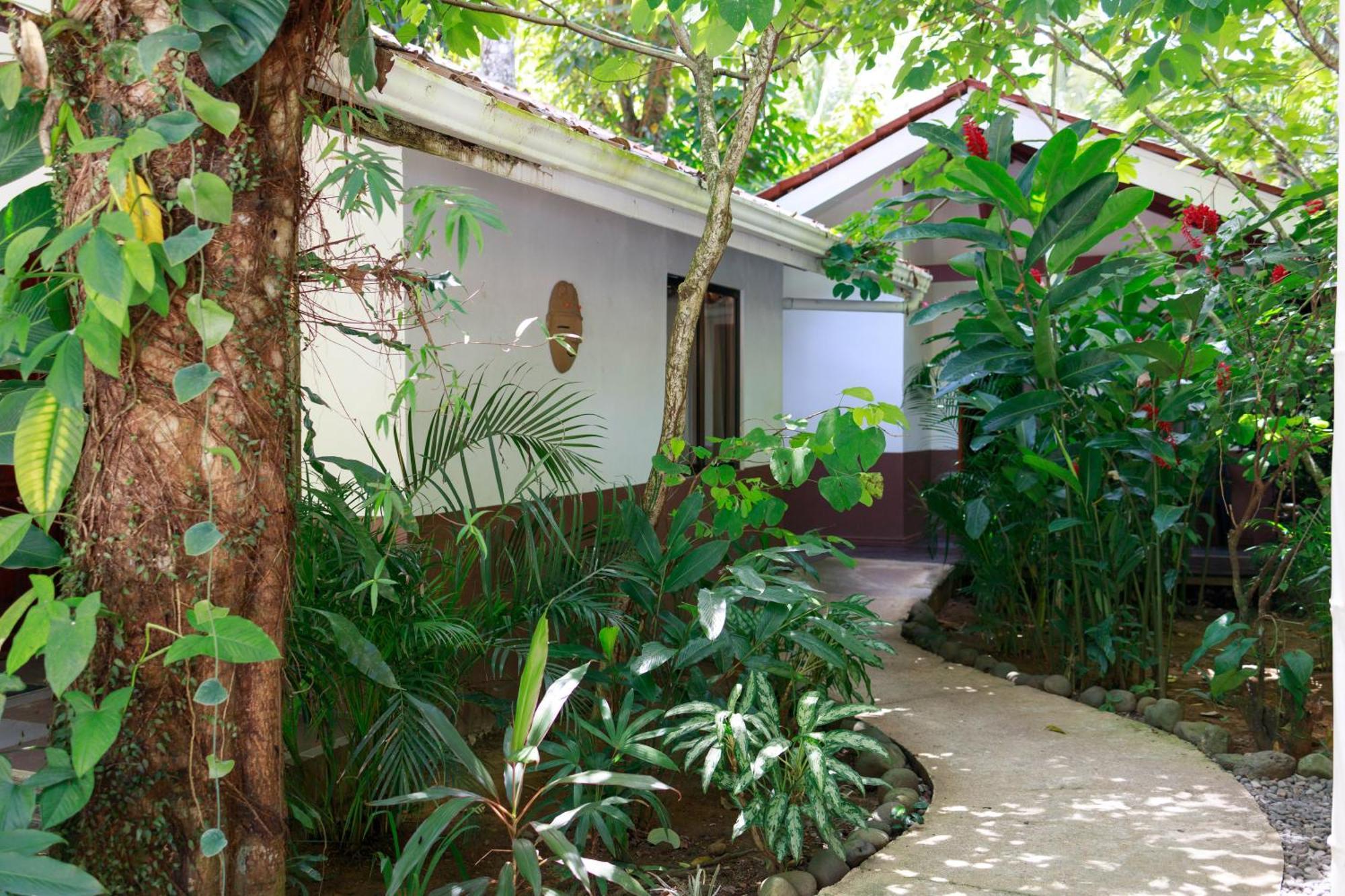 Bambutel Cocles Hotel Puerto Viejo de Talamanca Eksteriør billede