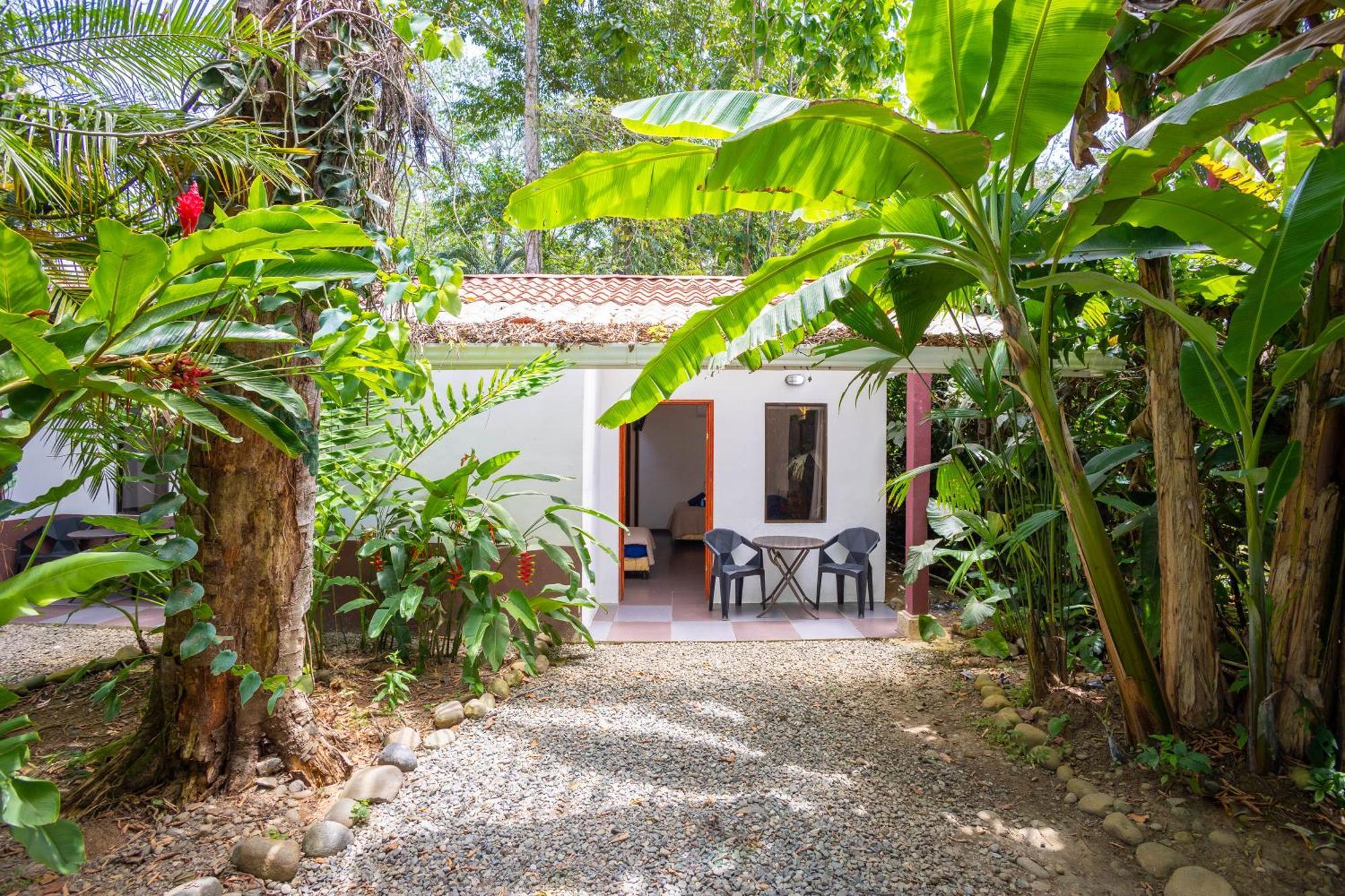 Bambutel Cocles Hotel Puerto Viejo de Talamanca Eksteriør billede
