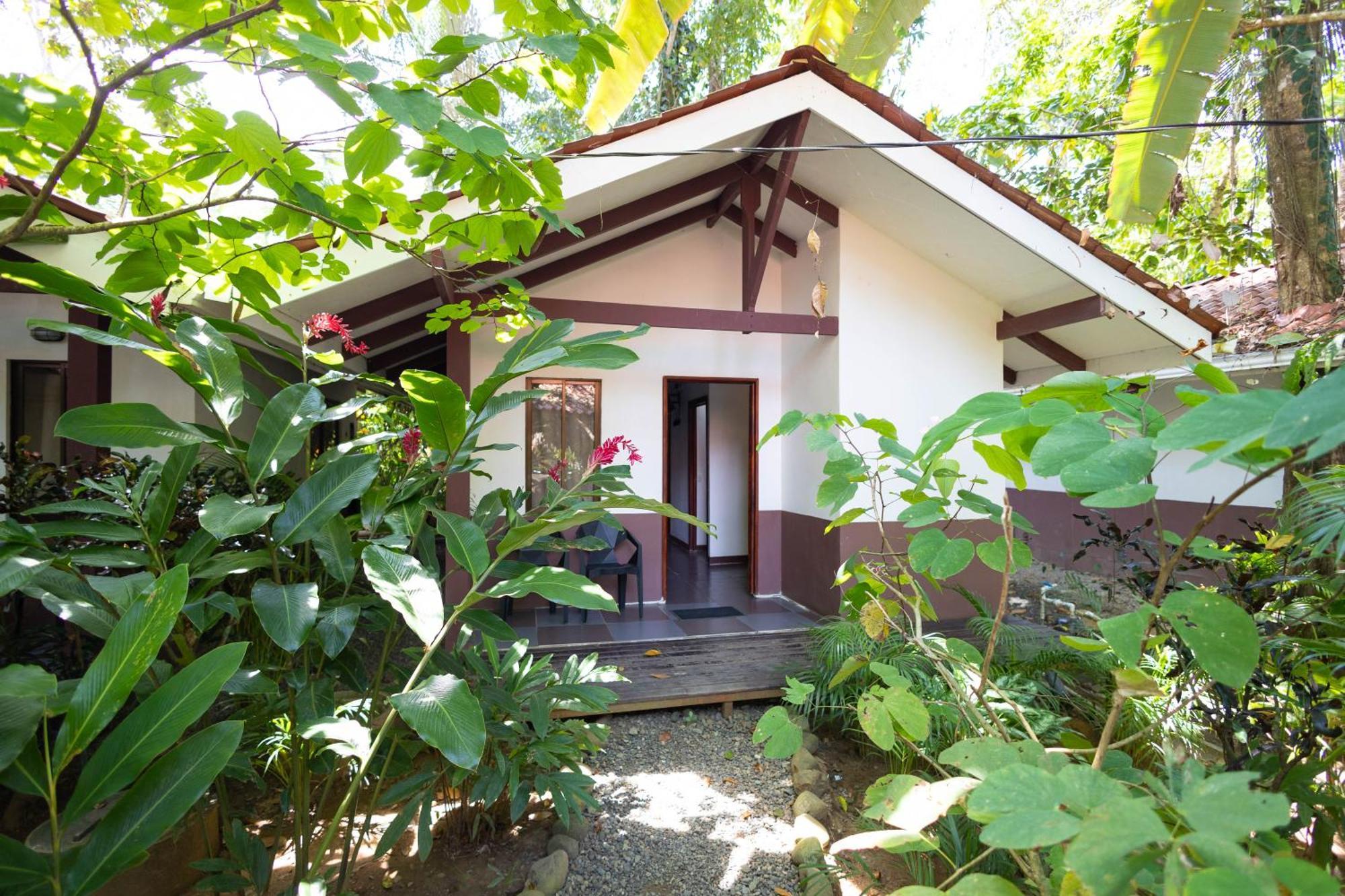 Bambutel Cocles Hotel Puerto Viejo de Talamanca Eksteriør billede